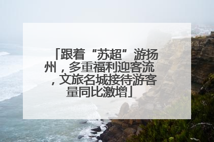 跟着“苏超”游扬州，多重福利迎客流，文旅名城接待游客量同比激增
