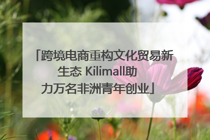 跨境电商重构文化贸易新生态 Kilimall助力万名非洲青年创业