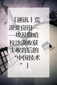 通讯丨荒漠变良田——埃及撒哈拉沙漠收获丰收背后的“中国技术”