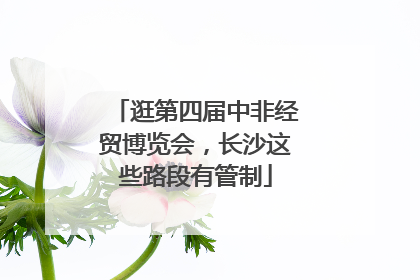 逛第四届中非经贸博览会，长沙这些路段有管制