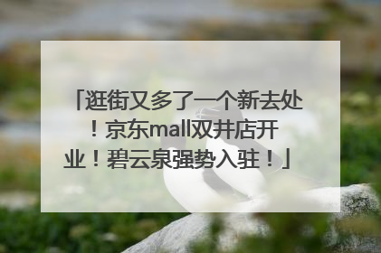 逛街又多了一个新去处！京东mall双井店开业！碧云泉强势入驻！