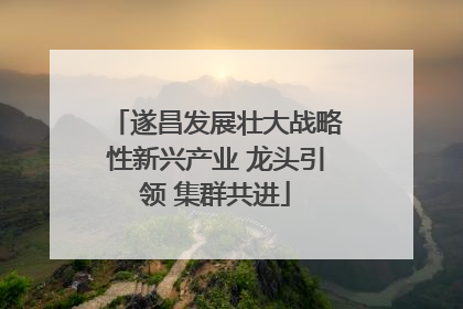 遂昌发展壮大战略性新兴产业 龙头引领 集群共进