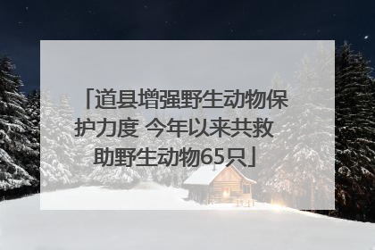 道县增强野生动物保护力度 今年以来共救助野生动物65只