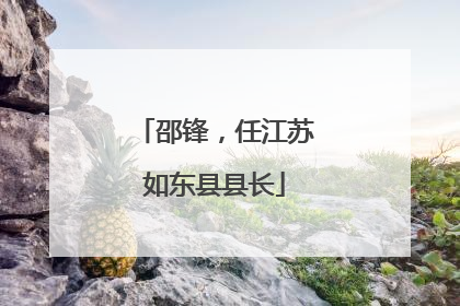 邵锋，任江苏如东县县长