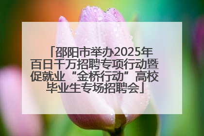 邵阳市举办2025年百日千万招聘专项行动暨促就业“金桥行动”高校毕业生专场招聘会