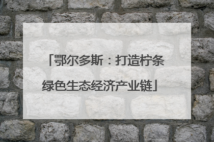 鄂尔多斯：打造柠条绿色生态经济产业链