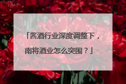 酱酒行业深度调整下，南将酒业怎么突围？