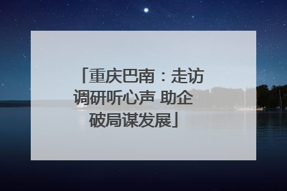 重庆巴南：走访调研听心声 助企破局谋发展