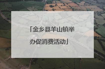 金乡县羊山镇举办促消费活动
