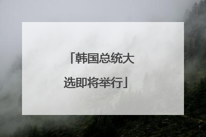 韩国总统大选即将举行