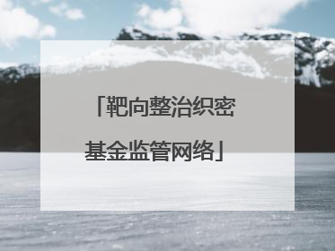 靶向整治织密基金监管网络