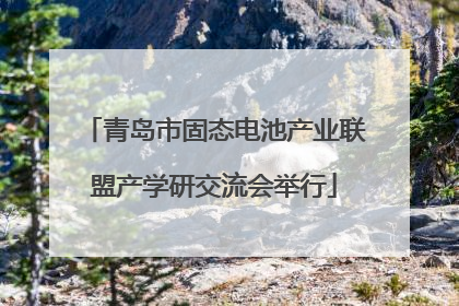 青岛市固态电池产业联盟产学研交流会举行