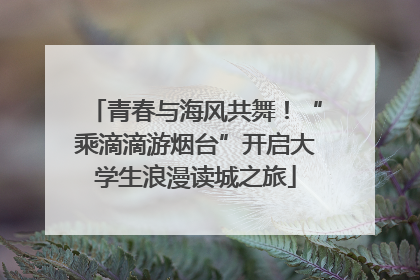 青春与海风共舞！“乘滴滴游烟台”开启大学生浪漫读城之旅