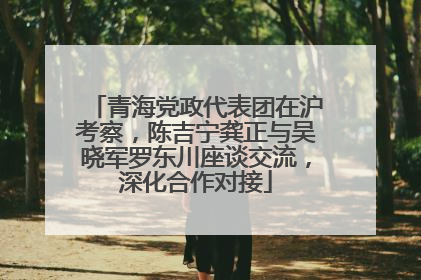 青海党政代表团在沪考察，陈吉宁龚正与吴晓军罗东川座谈交流，深化合作对接