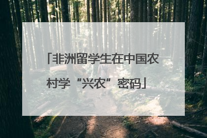 非洲留学生在中国农村学“兴农”密码