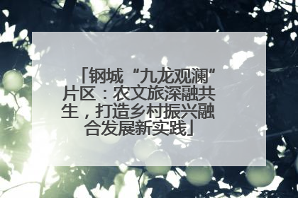 钢城“九龙观澜”片区：农文旅深融共生，打造乡村振兴融合发展新实践