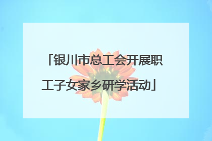 银川市总工会开展职工子女家乡研学活动