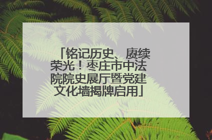 铭记历史、赓续荣光！枣庄市中法院院史展厅暨党建文化墙揭牌启用