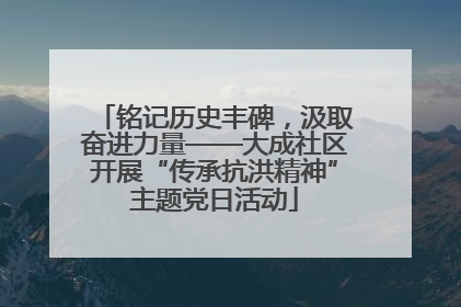 铭记历史丰碑，汲取奋进力量——大成社区开展“传承抗洪精神”主题党日活动