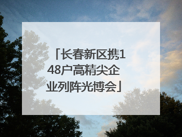长春新区携148户高精尖企业列阵光博会