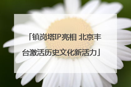 镇岗塔IP亮相 北京丰台激活历史文化新活力
