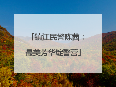 镇江民警陈茜：最美芳华绽警营