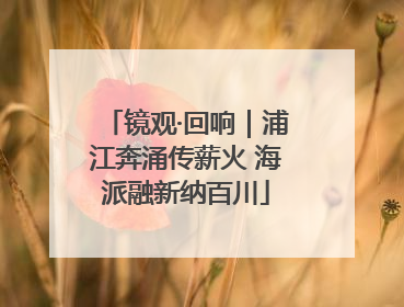 镜观·回响｜浦江奔涌传薪火 海派融新纳百川