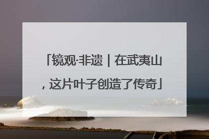 镜观·非遗｜在武夷山，这片叶子创造了传奇