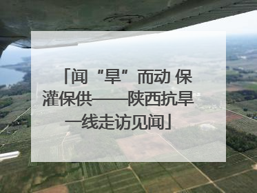 闻“旱”而动 保灌保供——陕西抗旱一线走访见闻