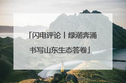 闪电评论丨绿潮奔涌 书写山东生态答卷