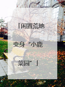 闲置荒地变身“小鹿菜园”
