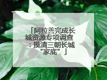 阿拉善完成长城资源专项调查：摸清三朝长城“家底”