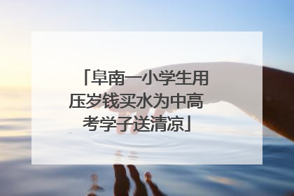 阜南一小学生用压岁钱买水为中高考学子送清凉