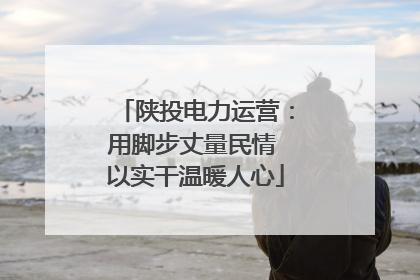 陕投电力运营：用脚步丈量民情 以实干温暖人心