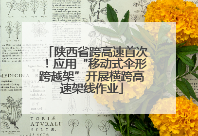 陕西省跨高速首次！应用“移动式伞形跨越架”开展横跨高速架线作业