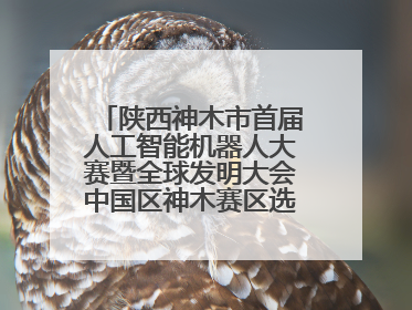 陕西神木市首届人工智能机器人大赛暨全球发明大会中国区神木赛区选拔赛隆重举行