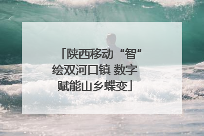 陕西移动“智”绘双河口镇 数字赋能山乡蝶变