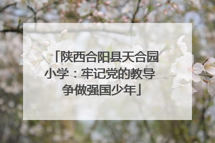 陕西合阳县天合园小学：牢记党的教导 争做强国少年
