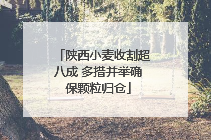 陕西小麦收割超八成 多措并举确保颗粒归仓