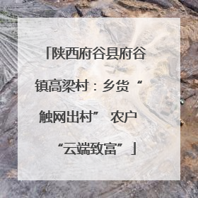 陕西府谷县府谷镇高梁村：乡货“触网出村” 农户“云端致富”