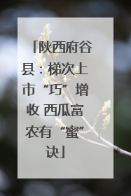 陕西府谷县：梯次上市“巧”增收 西瓜富农有“蜜”诀