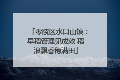 零陵区水口山镇：早稻管理见成效 稻浪飘香穗满田