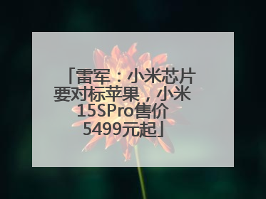 雷军：小米芯片要对标苹果，小米15SPro售价5499元起