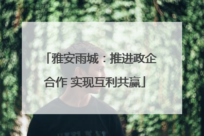 雅安雨城：推进政企合作 实现互利共赢