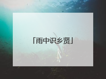 雨中识乡贤
