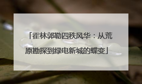 霍林郭勒四秩风华：从荒原勘探到绿电新城的蝶变