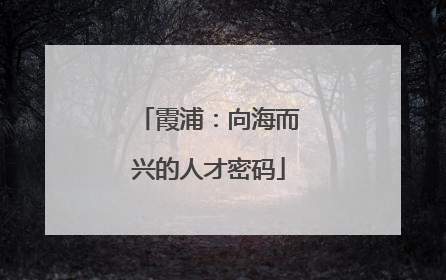 霞浦：向海而兴的人才密码