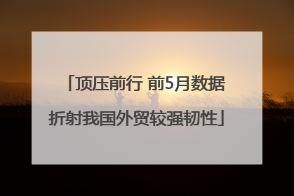 顶压前行 前5月数据折射我国外贸较强韧性