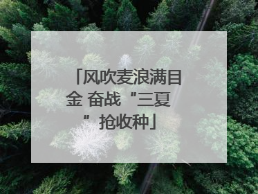 风吹麦浪满目金 奋战“三夏”抢收种