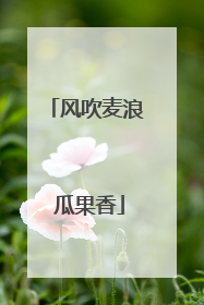 风吹麦浪 瓜果香